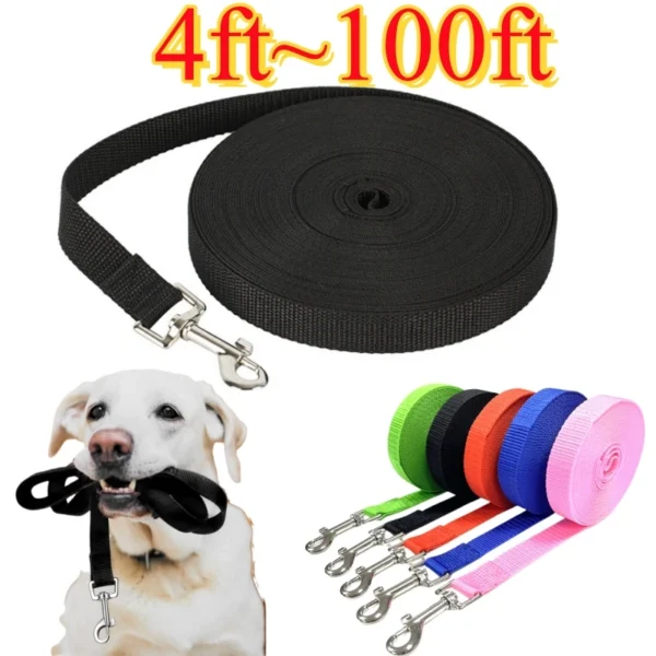Extended Control Outdoor Dog Leash