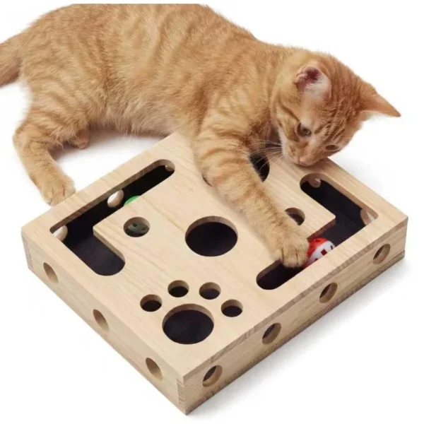 Cat Enrichment Puzzle Maze Set